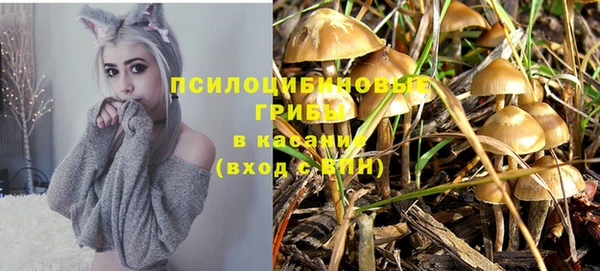 соль ск Алексин