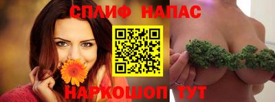 индика Ирбит
