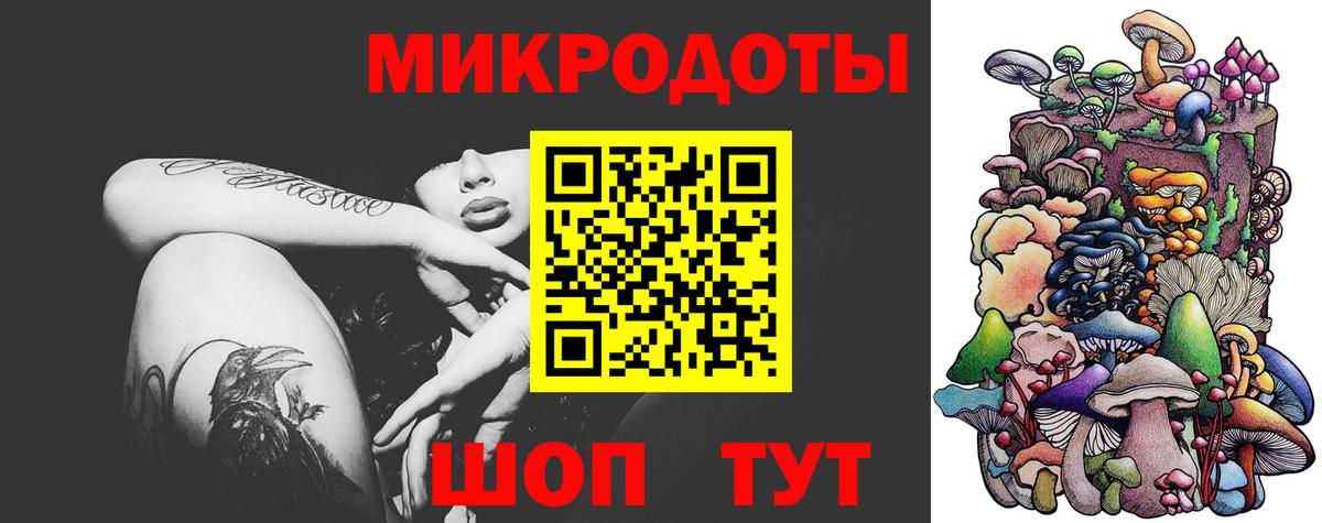 Галлюциногенные грибы Psilocybine cubensis Ленинск-Кузнецкий